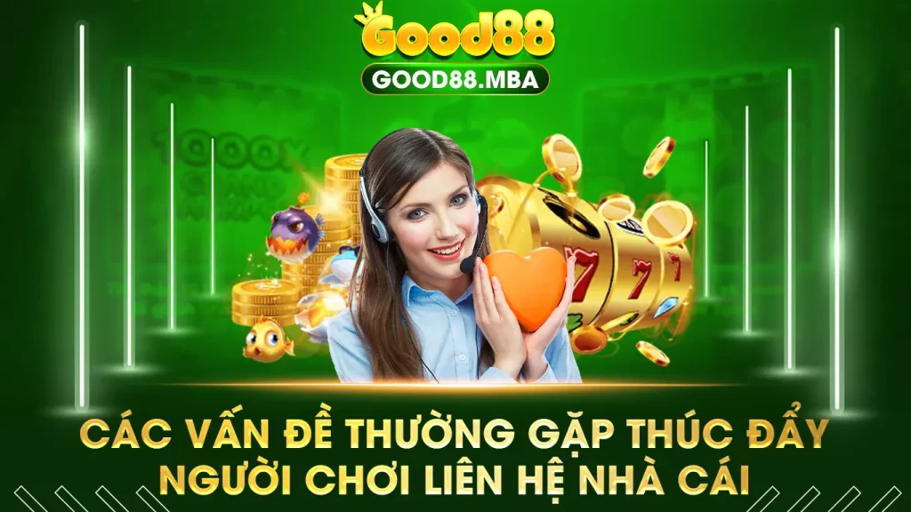Liên hệ  01